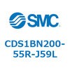 53350543