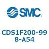 53362005