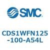 CDS1WFN125-100-A54L エアシリンダ/標準形：給油タイプ CDS1WFN SMC 53392184