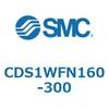 CDS1WFN160-300 エアシリンダ/標準形：給油タイプ CDS1WFN SMC 53392683