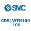 CDS1WTN160-100 エアシリンダ/標準形：給油タイプ CDS1WTN SMC 53393645