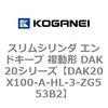DAK20X100-A-HL-3-ZG553B2 �X�����V�����_ �G���h�L�[�v �����` DAK20�V���[�Y �R�K�l�C 53418103