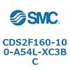 53420543
