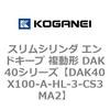 DAK40X100-A-HL-3-CS3MA2 �X�����V�����_ �G���h�L�[�v �����` DAK40�V���[�Y �R�K�l�C 53422705