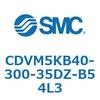 53503904