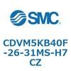 53503931
