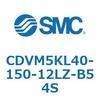 53504805