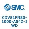 53519051