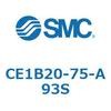 53539245