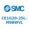 53550007
