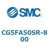 53615055