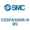 53615064