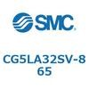 53616577