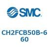 53620034