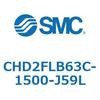 53649005