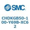 53685037