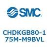 53688031