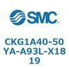 53725235