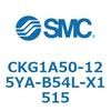 53731404