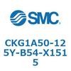 53732025