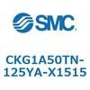 53740005