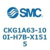 53740531