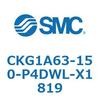 53745036