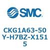 53748676