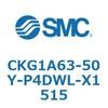 53749062