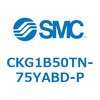53760043