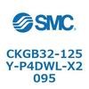 53769484