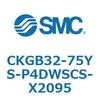 53770026
