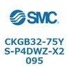 53770044