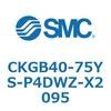 53770841