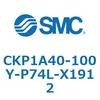 53770945
