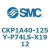 53771024