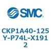 53771033