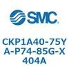 53771304