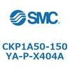 53772022
