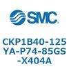 53774156
