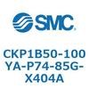 53774305