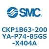 53775005