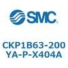53775023