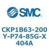 53775032