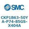 53775057