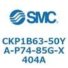 53775066