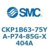 53775145