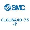 53805236
