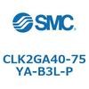 53809804