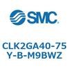 53810084